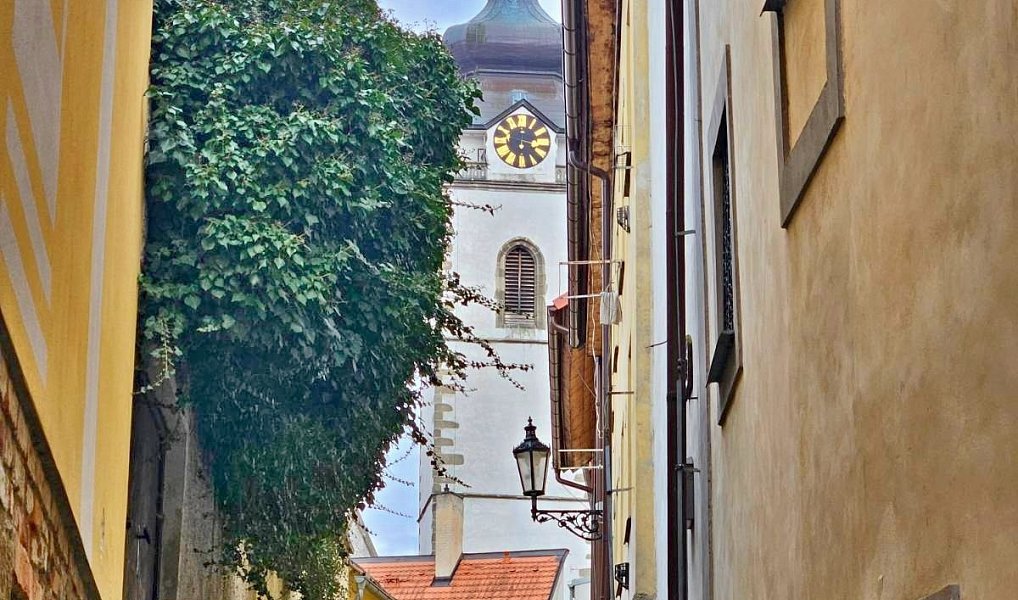 Prodej stavebního pozemku 1 134 m², Dobev – náhled fotky 10