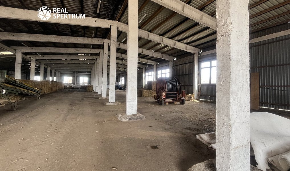 Prodej výrobních prostor 5 000 m², Hladov – náhled fotky 16