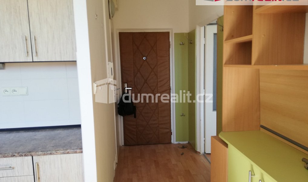 Pronájem bytu 1+1 39 m², Plzeň – náhled fotky 4