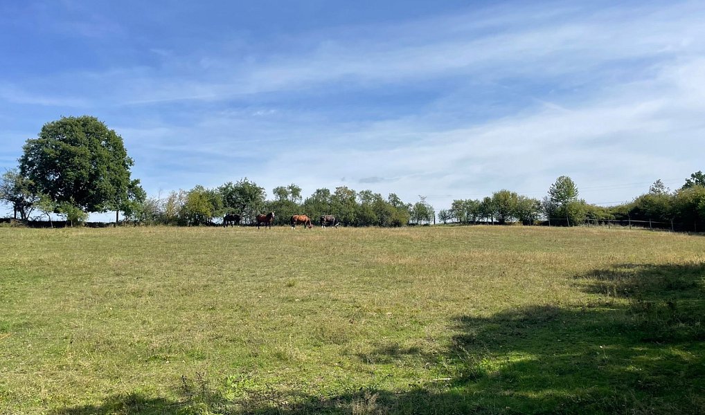 Prodej pozemku 6 229 m², Bojanovice – náhled fotky 5