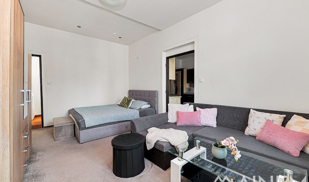 Prodej bytu 1+1 49 m², Plzeň – náhled fotky 7
