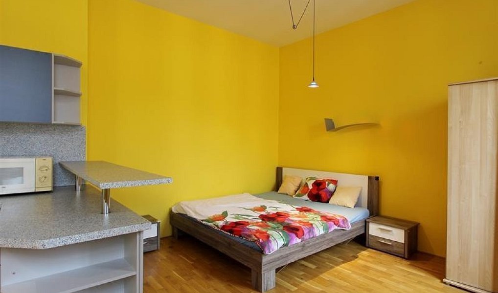 Pronájem bytu 1+kk 35 m², Brno – náhled fotky 5