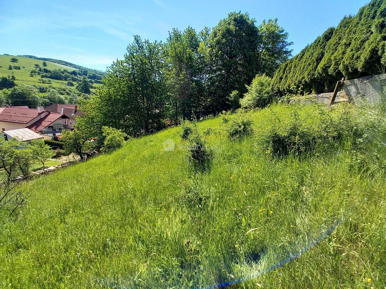 Fotka 6 z 12