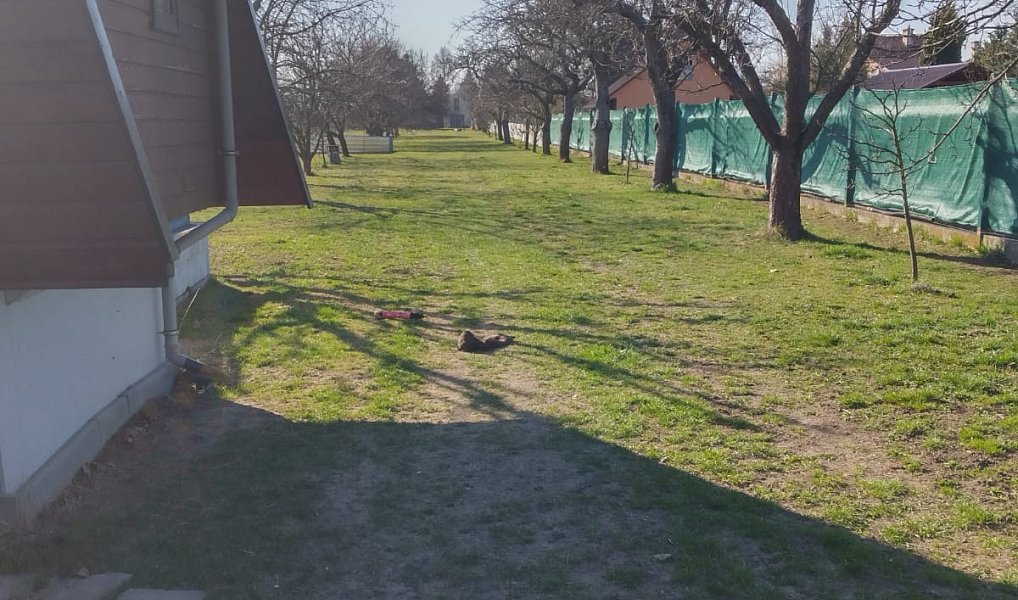 Prodej domu (jiného typu) 200 m², Věžky – náhled fotky 14