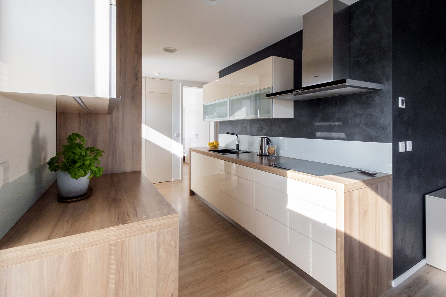 Pronájem bytu 3+kk 106 m² – fotografie 4