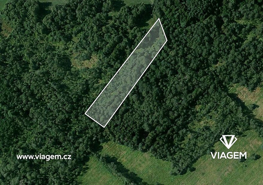 Prodej lesa 8 398 m² – pohled 2