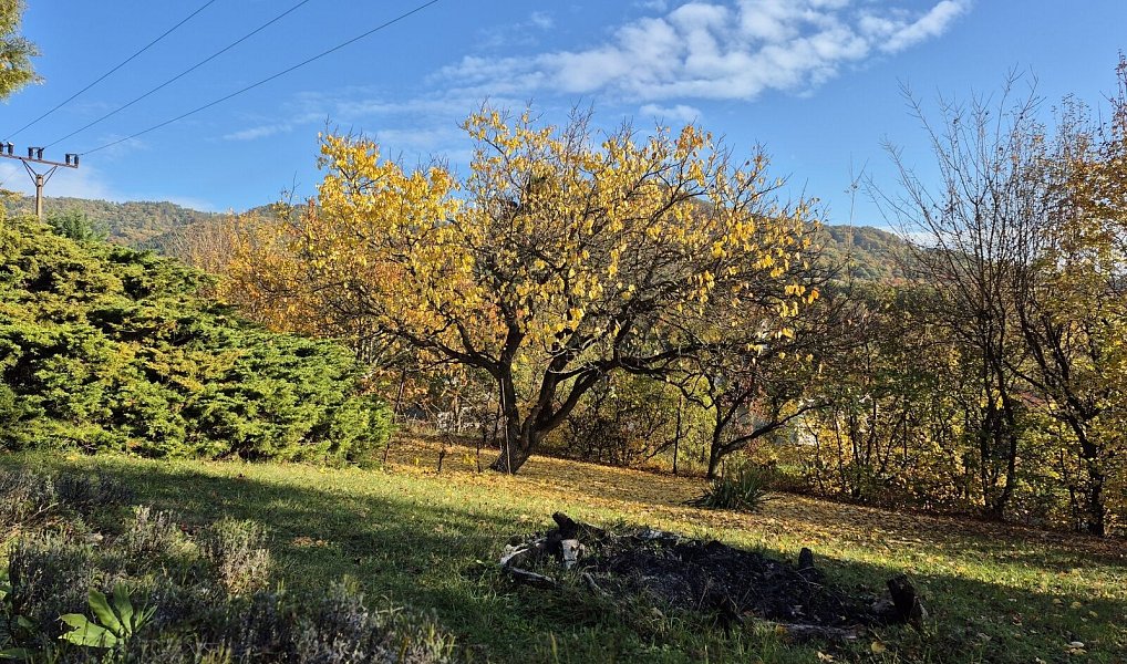 Prodej zahrady 823 m², Žitenice – náhled fotky 5