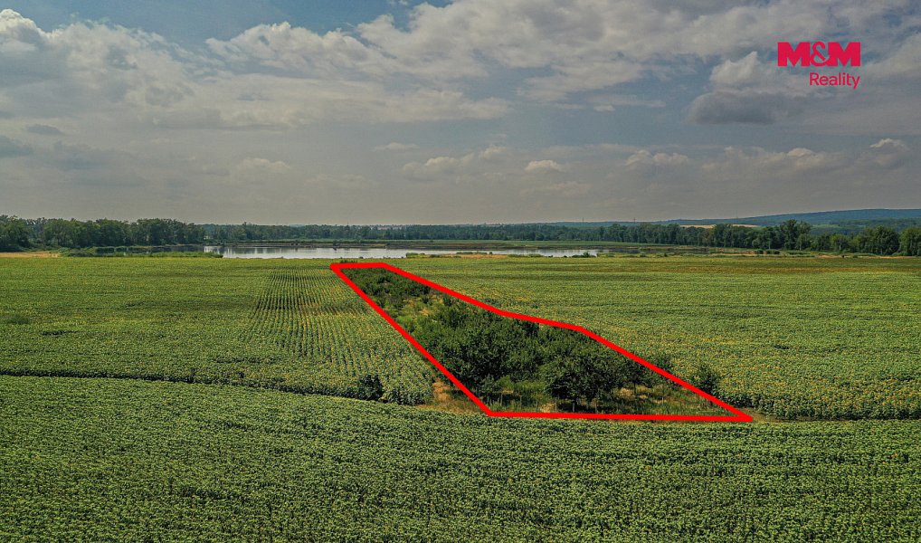 Prodej pole 14 490 m², Zaječí – náhled fotky 7