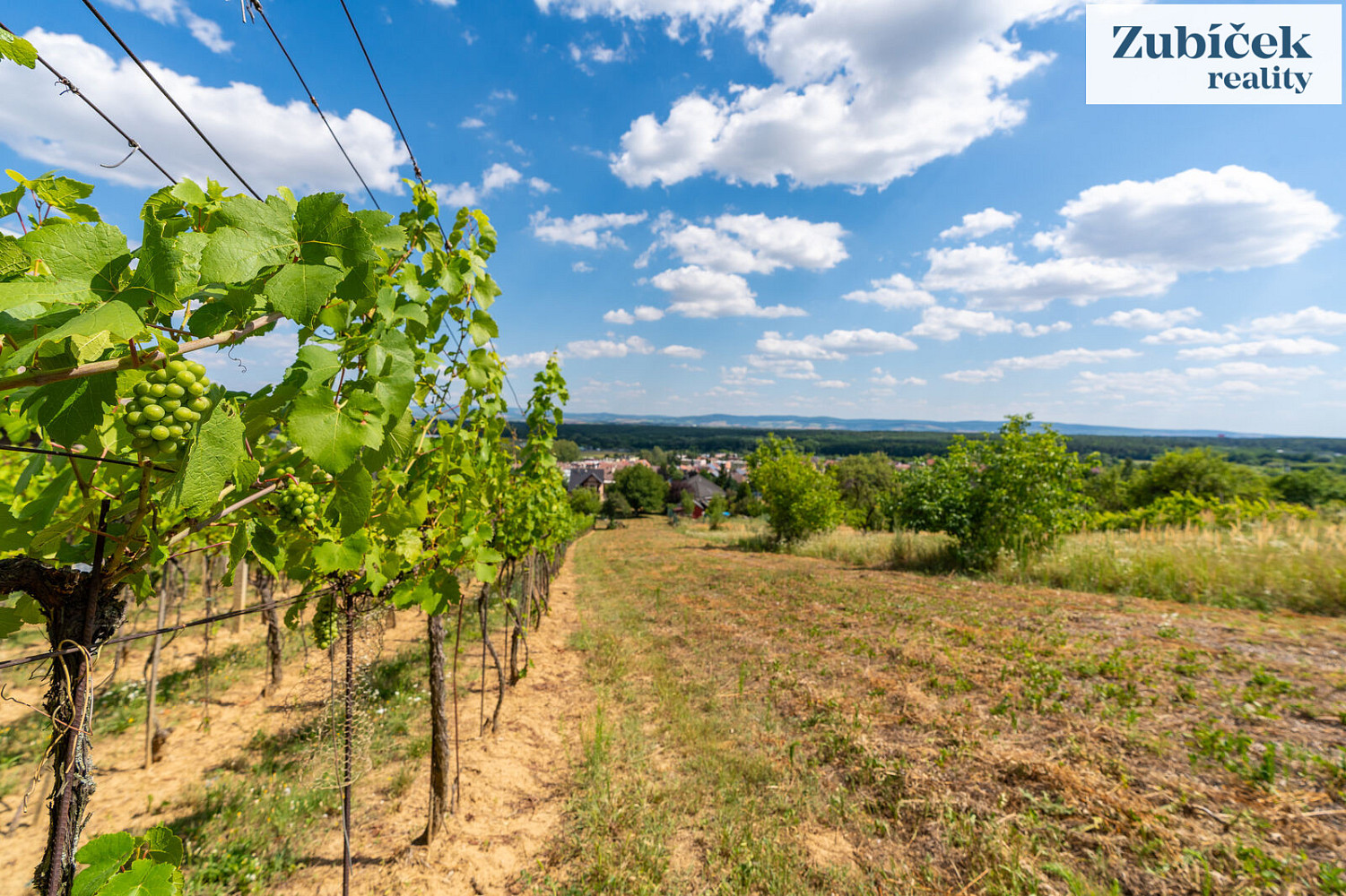 Prodej stavebního pozemku 2 654 m² – fotografie 5