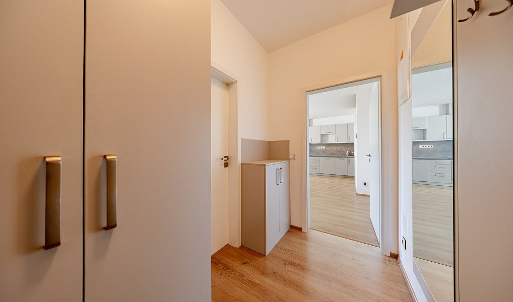 Pronájem bytu 3+kk 60 m², Uherské Hradiště – náhled fotky 13