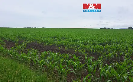 Prodej pole 30 161 m², Sokolnice, okres Brno-venkov