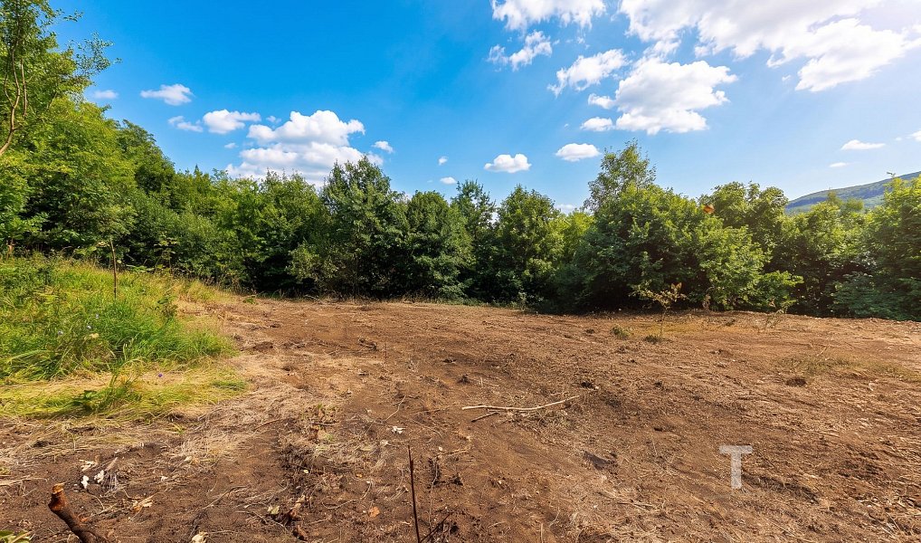 Prodej stavebního pozemku 967 m², Boskovice – náhled fotky 8