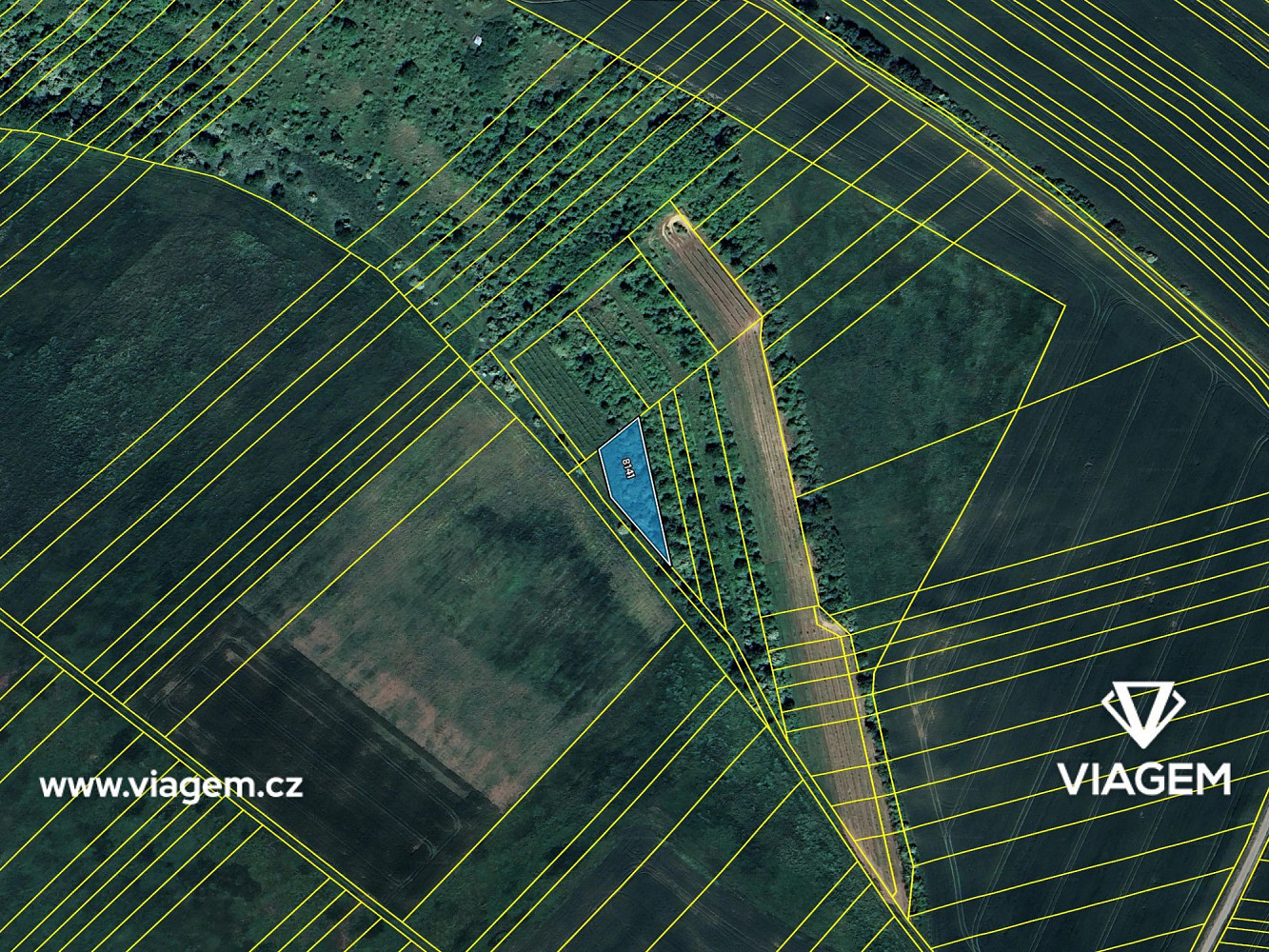 Prodej pole 1 162 m² – fotografie 4