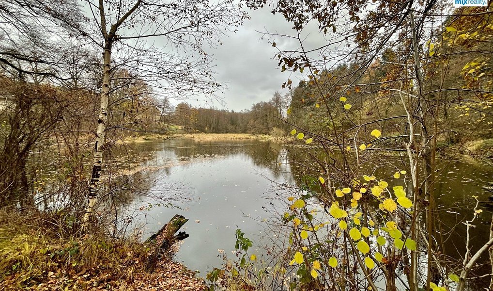 Prodej vodní plochy 14 487 m², Čmelíny – náhled fotky 4