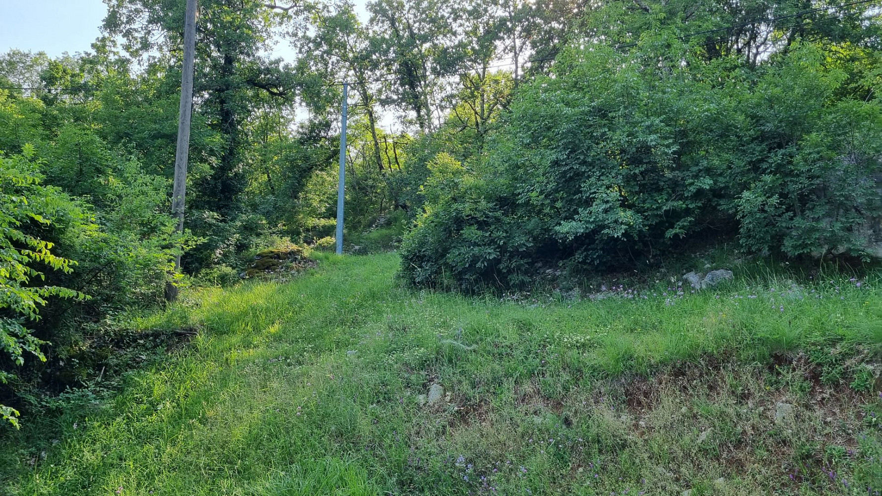 Fotka 27 z 30
