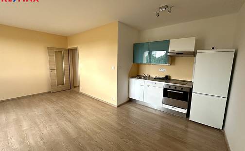 Prodej bytu 1+kk 33 m², Nad Rokoskou, Praha 8 - Libeň