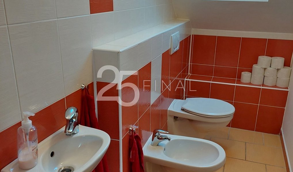 Pronájem domu 200 m² s pozemkem 1 093 m², Osek – náhled fotky 29