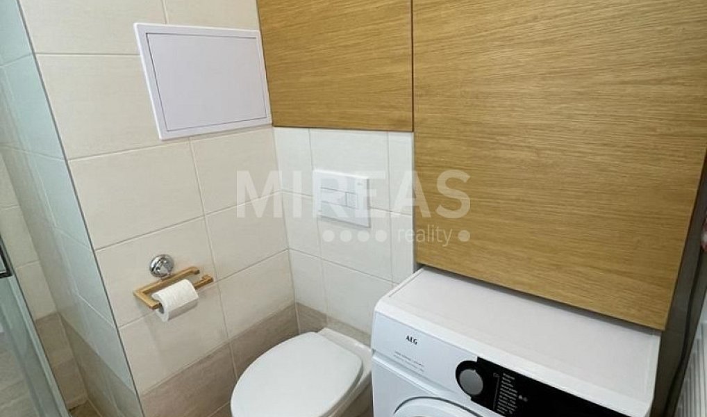 Pronájem bytu 2+kk 41 m², Milovice – náhled fotky 9