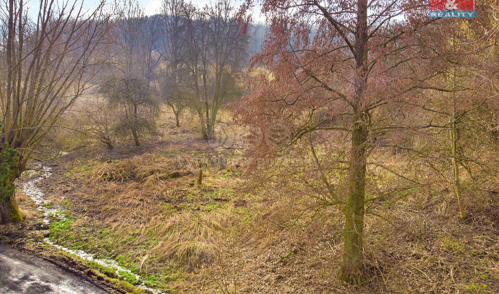 Prodej louky 1 726 m², Povrly – náhled fotky 8