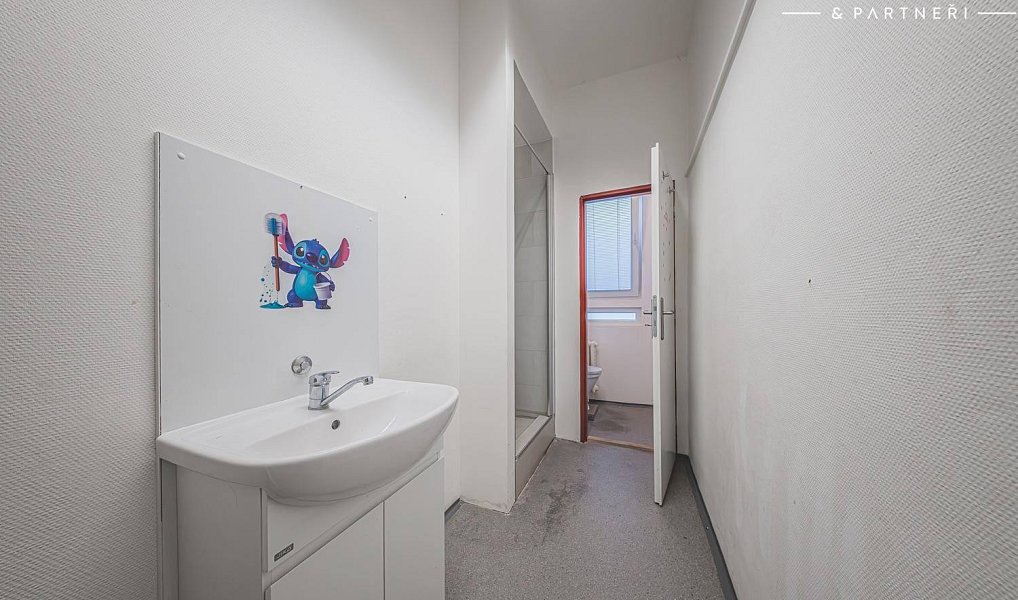 Pronájem bytu 2+1 90 m², Hradec Králové – náhled fotky 11