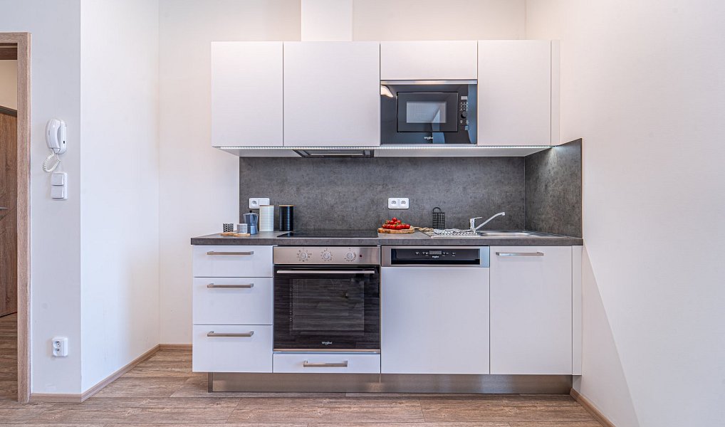 Pronájem bytu 1+kk 33 m², Mikulov – náhled fotky 5