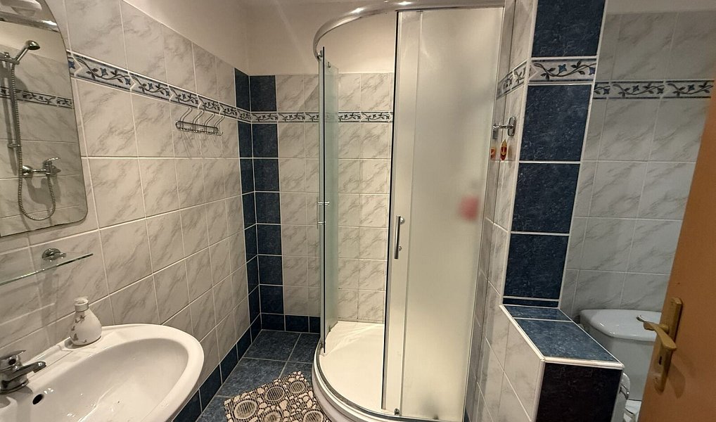 Prodej ubytovacího objektu 600 m², Horní Město – náhled fotky 11