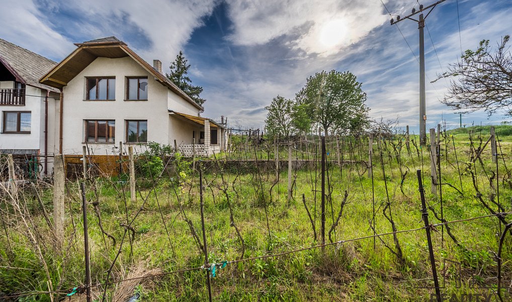 Prodej vinného sklepa s vinohradem ve Skoronicích, sklep + vinohrad Skoronice, Skoronice – náhled fotky 6