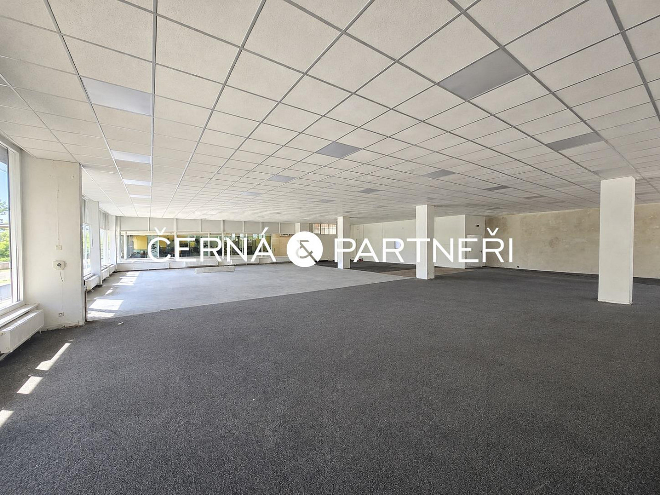 Pronájem obchodních prostor 571 m² — photo 5