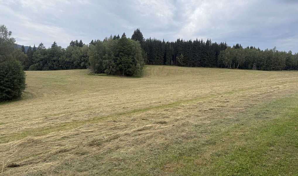 Prodej louky 84 928 m², Hamry – náhled fotky 18