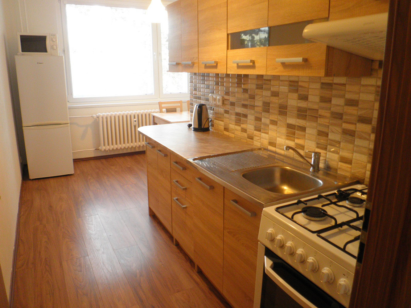 1+1 Apartment in Brno, Bystrc – pohled 3