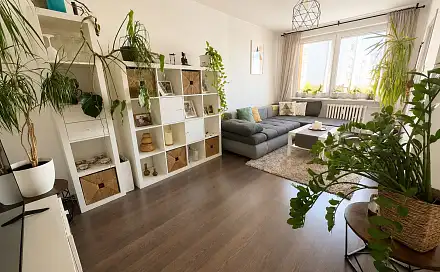 Pronájem bytu 2+1 60 m², Údolní, Praha 4 - Braník