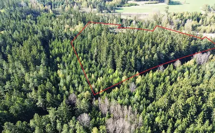 Prodej lesa 32 111 m², Bednáreček, okres Jindřichův Hradec