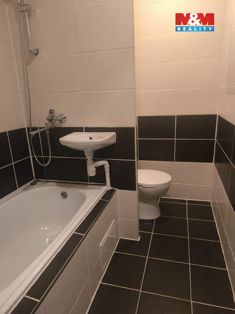 Pronájem bytu 1+1 33 m² — photo 3