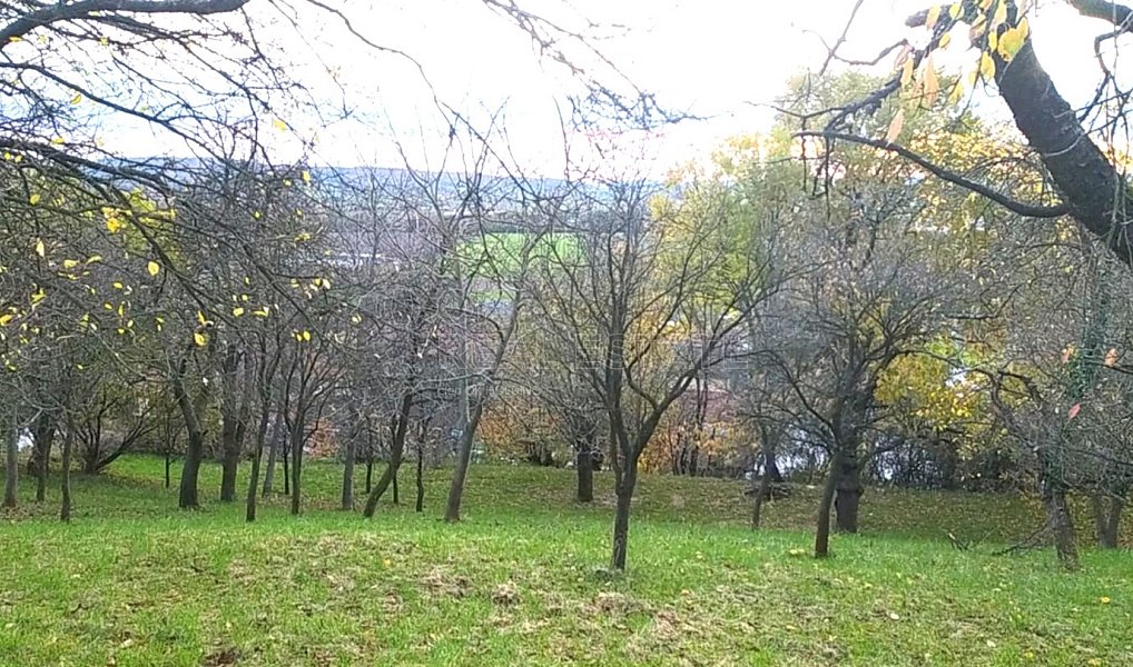 Prodej zahrady 3 492 m², Přílepy – náhled fotky 12