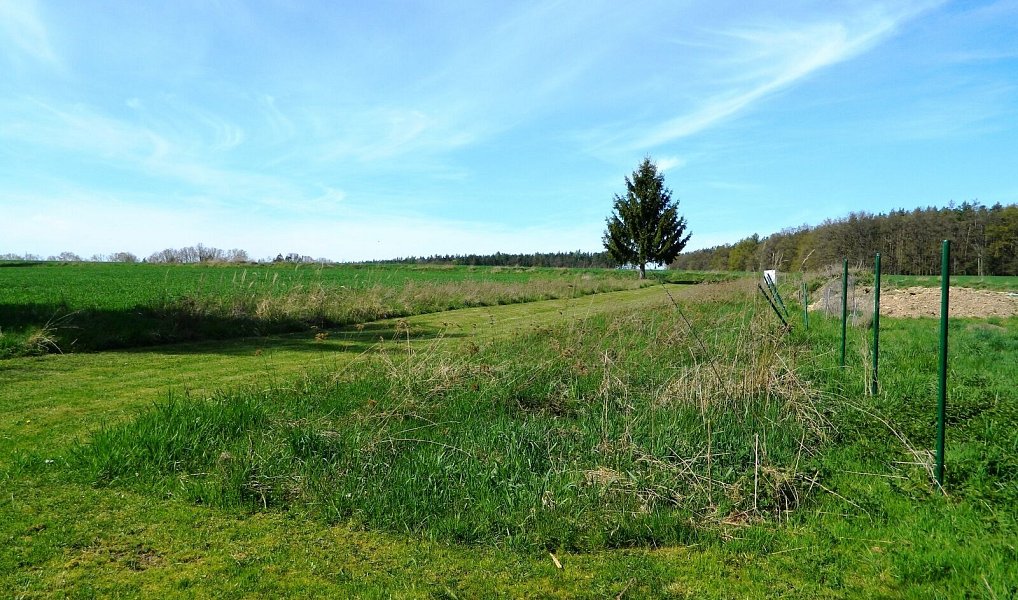 Prodej stavebního pozemku 984 m², Přehořov – náhled fotky 2
