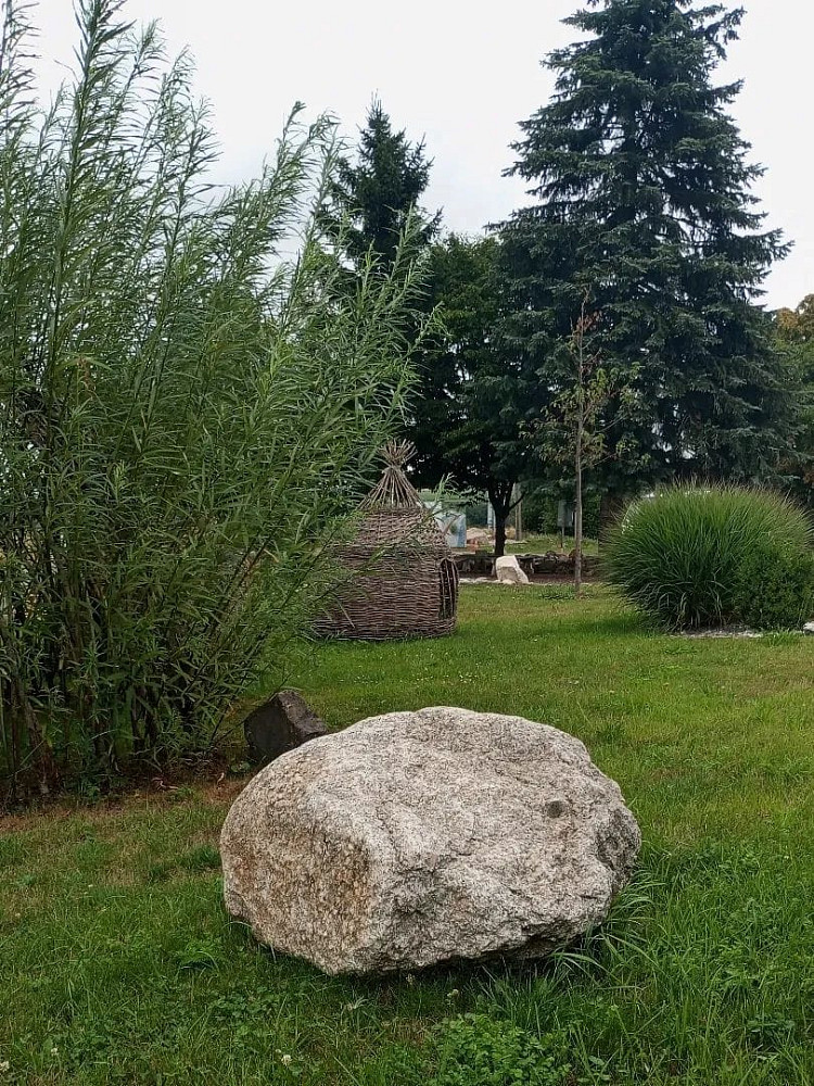 Pronájem komerčního pozemku 20 000 m² – fotografie 2