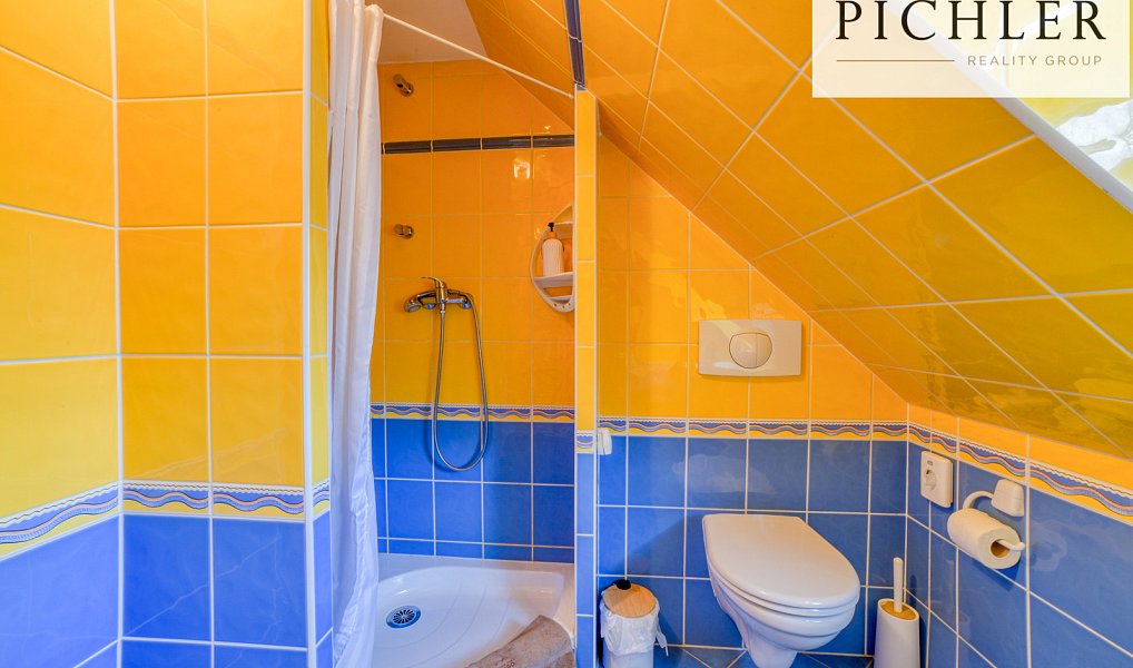Prodej domu 341 m² s pozemkem 424 m², Stříbrná – náhled fotky 43