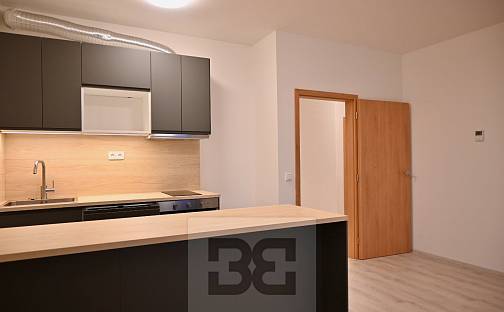 Pronájem bytu 2+kk 58 m², Olomouc