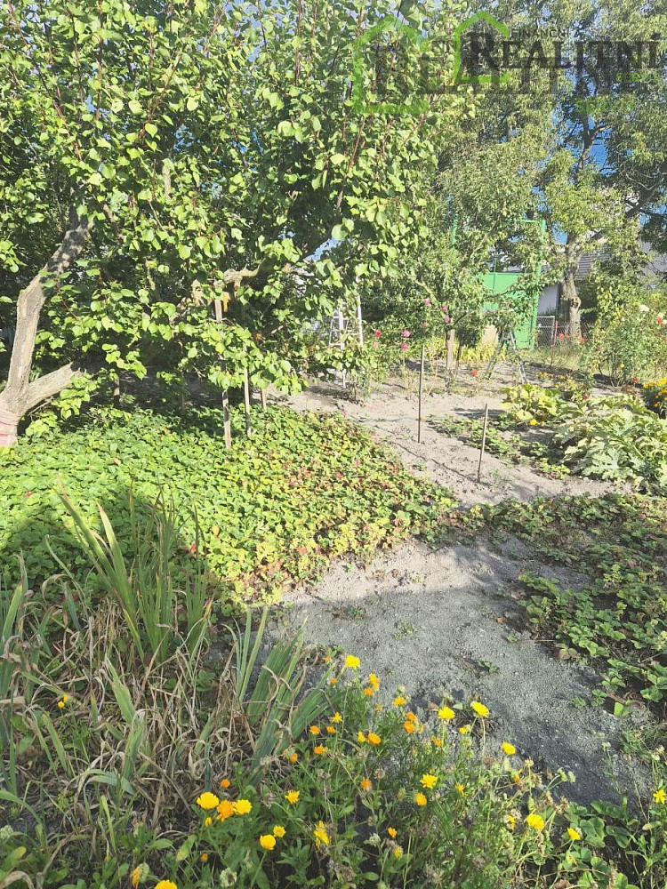Fotka 11 z 15