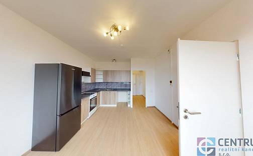 Pronájem bytu 1+1 35 m², Rychtářská, Liberec - Liberec XIV-Ruprechtice