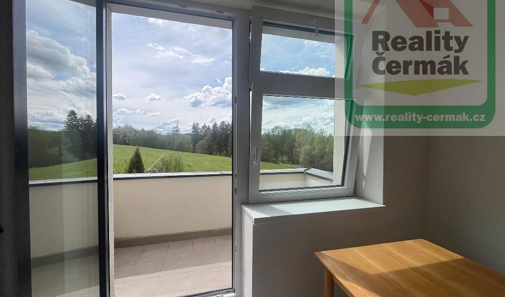 Pronájem bytu 1+1 40 m², Domažlice – náhled fotky 4
