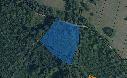 Prodej pozemku 5 374 m², Bušín, okres Šumperk