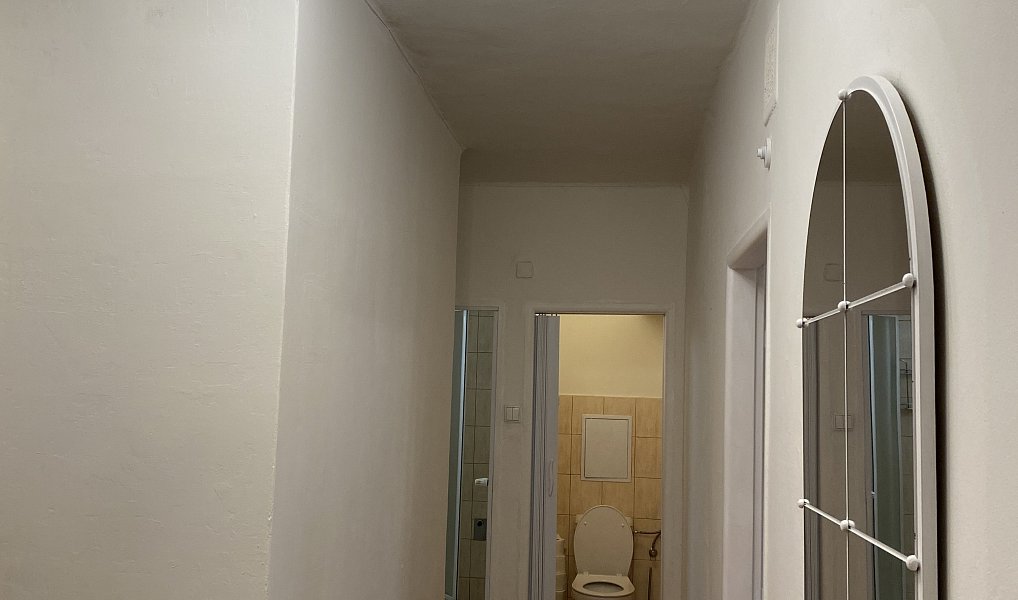 Prodej bytu 2+1 50 m², Příbram – náhled fotky 19