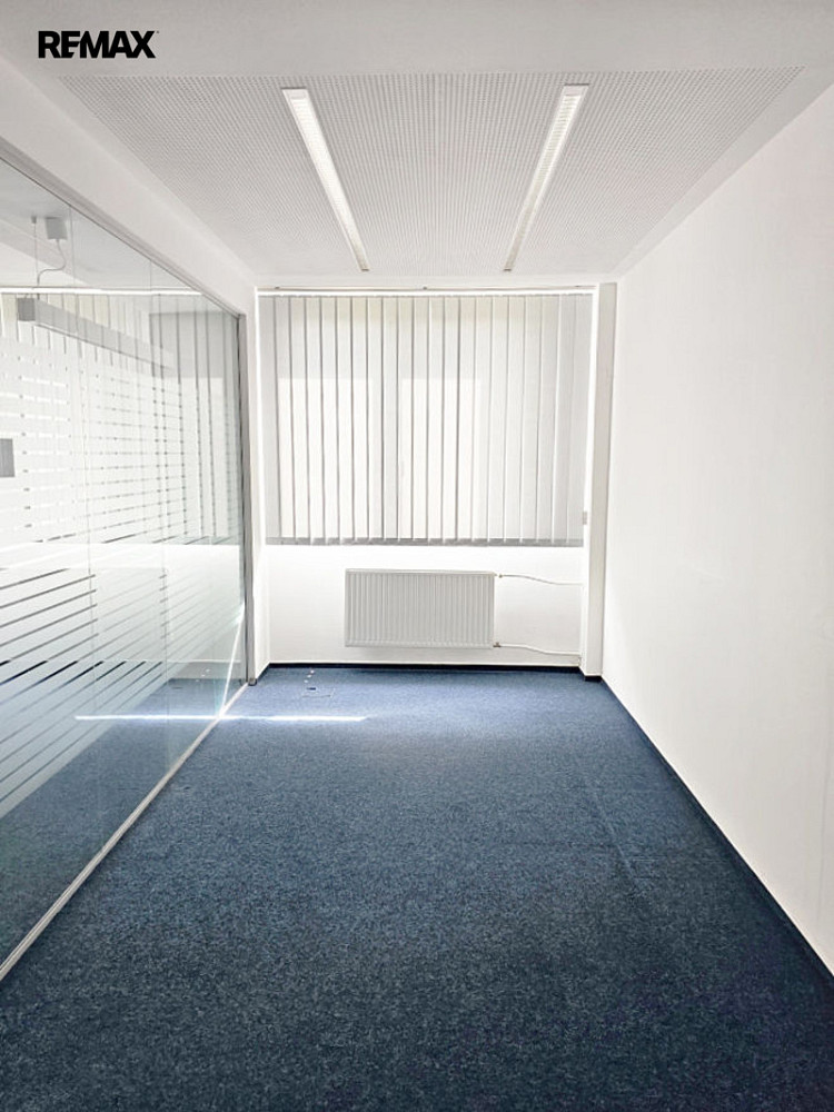 Pronájem obchodních prostor 165 m² – fotografie 5