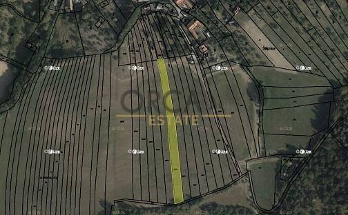 Prodej pole 2 524 m², Cetechovice, okres Kroměříž