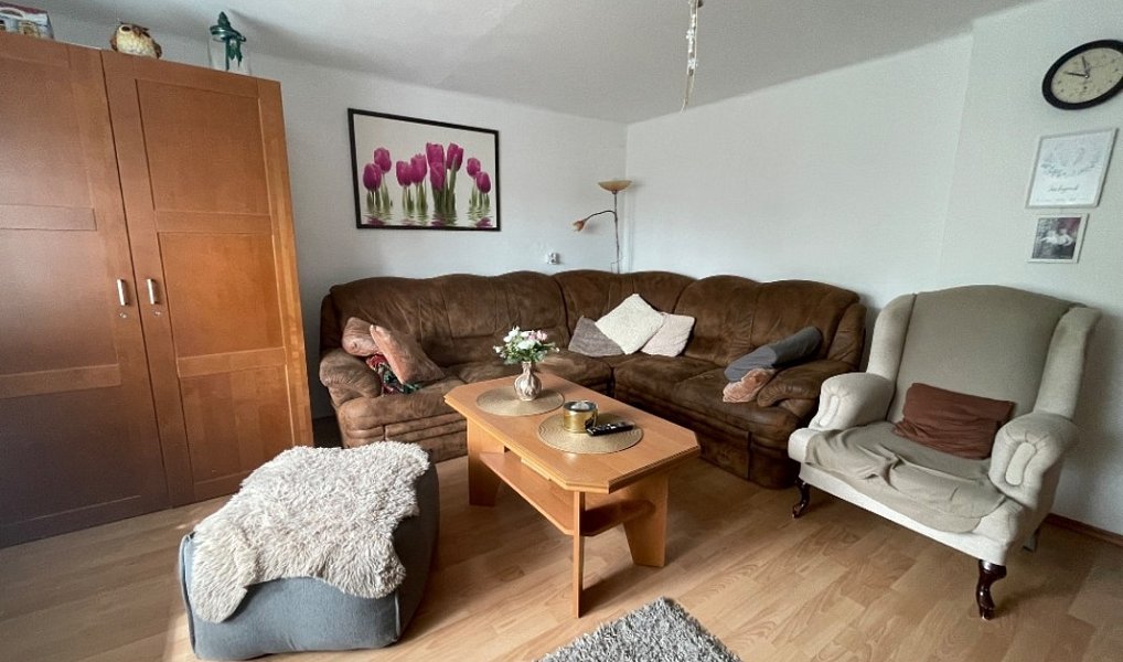 Prodej domu 177 m² s pozemkem 379 m², Nové Syrovice – náhled fotky 11