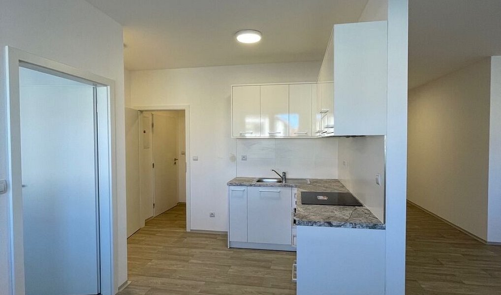 Pronájem bytu 2+kk 58 m², Boršice u Blatnice – náhled fotky 4