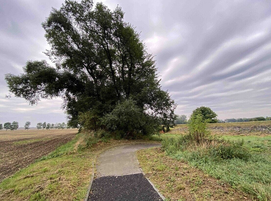 Prodej pozemku 173 m² – fotografie 5