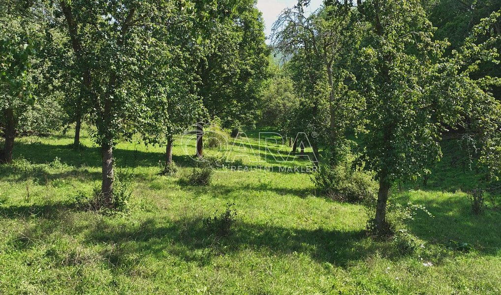 Prodej louky 199 287 m², Vojkovice – náhled fotky 4