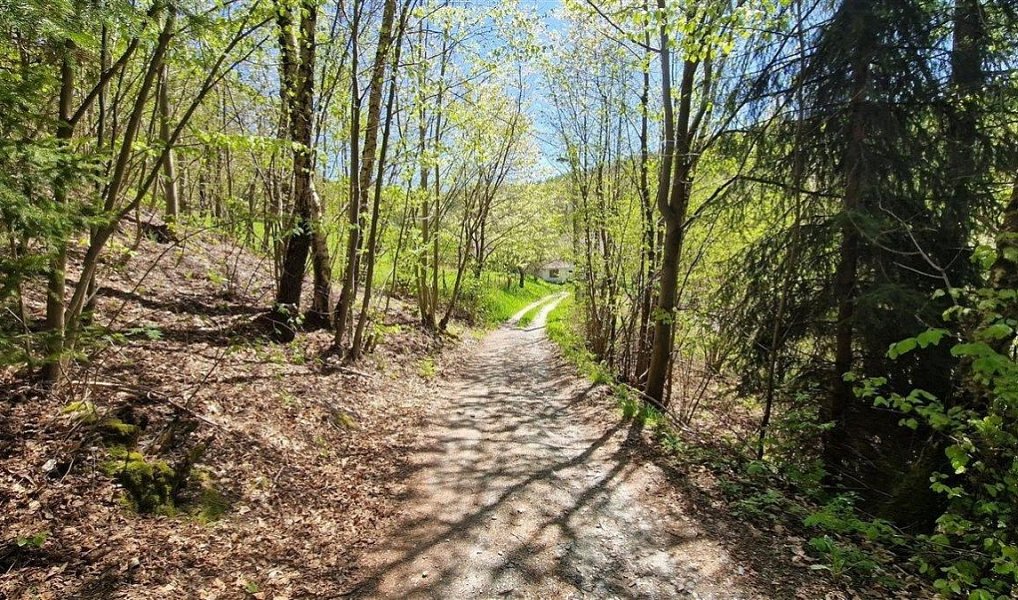 Prodej stavebního pozemku 1 417 m², Radčice – náhled fotky 11